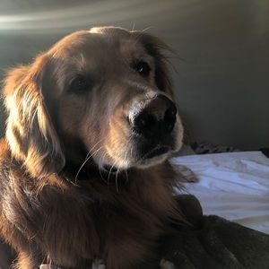 Meet your Posher, Ramey